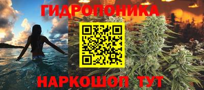 скорость Будённовск