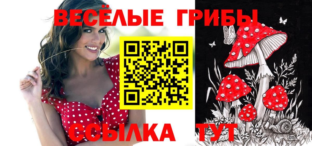 Псилоцибиновые грибы ЛСД Сердобск